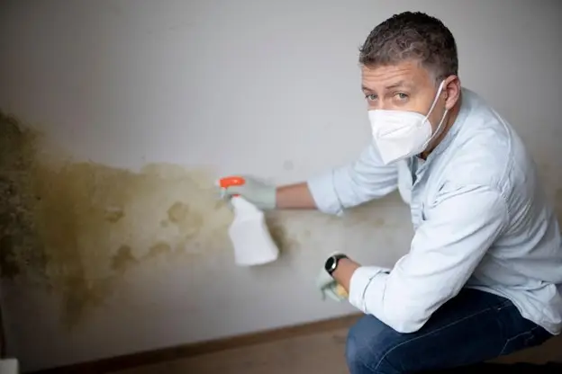 when to get mold inspection
