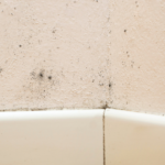 Can an inspector check for mold