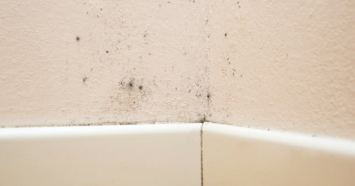 Can an inspector check for mold