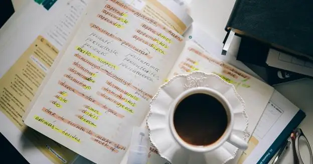 how much does translating a document cost